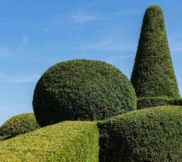 Quelles sont les astuces pour créer un espace de jeux sécurisé et stimulant dans un petit jardin ou une cour ?