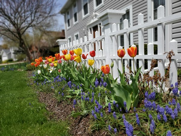 Créez votre jardin champêtre unique avec la ganivelle en châtaignier